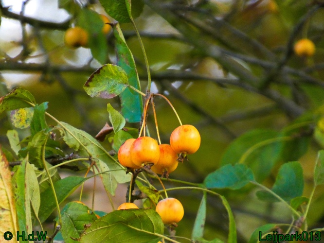 1 &amp; 2 &amp; 3 &amp; 4 oktober 2025