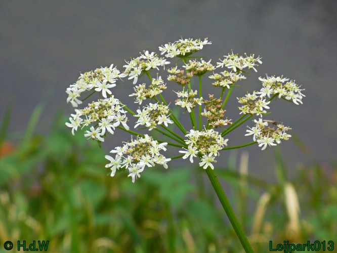 30 november &amp; 1 &amp; 2 &amp; 3 december 2024