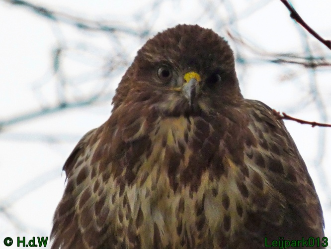 1 &amp; 2 &amp; 3 &amp; 4 januari 2025