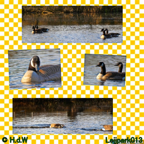 3 &amp; 4 &amp; 5 &amp; 6 april 2025