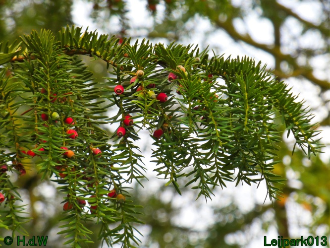 1 &amp; 2 &amp; 3 &amp; 4 oktober 2024