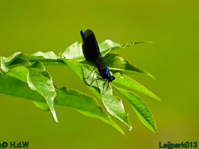 27 &amp; 28 &amp; 29 &amp; 30 juni 2024