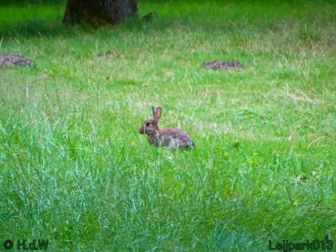 9 &amp; 10 &amp; 11 &amp; 12 juli 2024