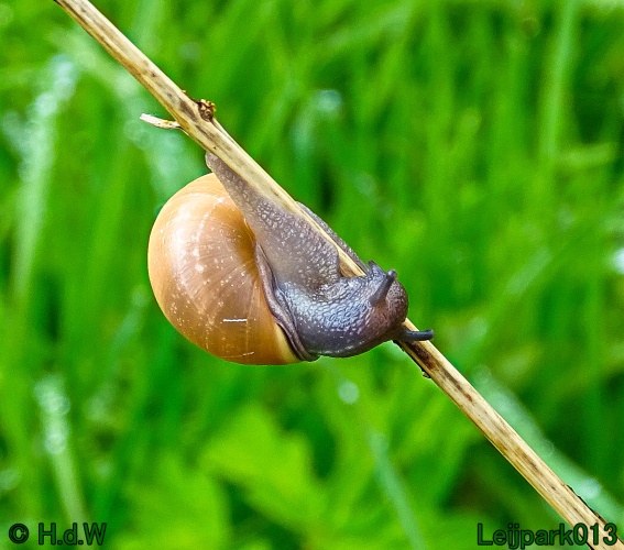 30 april 1 &amp; 2 &amp; 3 mei 2024