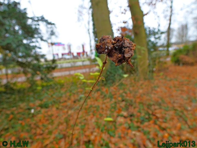 16 &amp; 17 &amp; 18 &amp; 19 december 2024