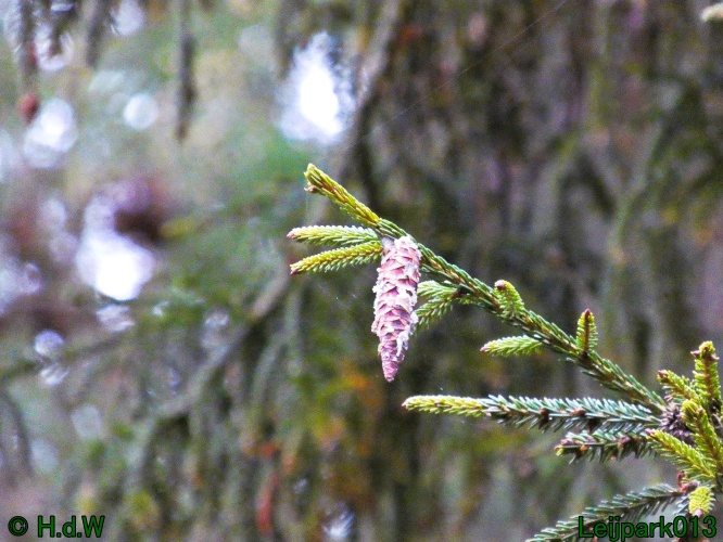 10 &amp; 11 &amp; 12 &amp; 13 november 2024