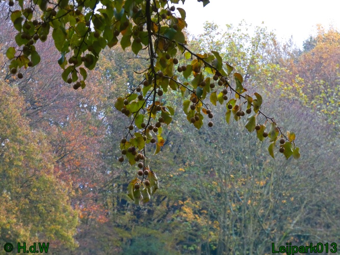 22 &amp; 23 &amp; 24 &amp; 25 november 2024