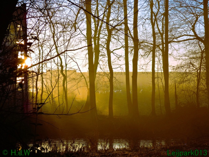 13 januari Mist en zon