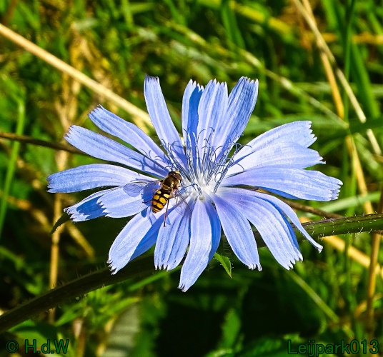 25 &amp; 26 &amp; 27 &amp; 28 juli 2024