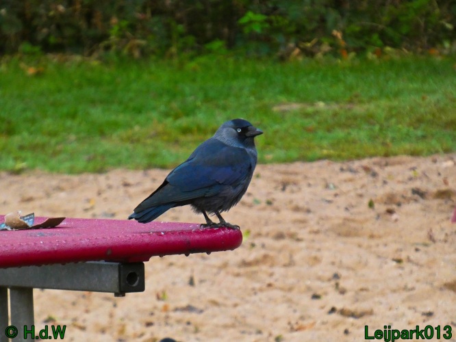 28 &amp; 29 &amp; 30 &amp; 31 oktober 2025