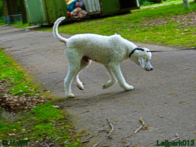 Beestenboel 12 mei 2024