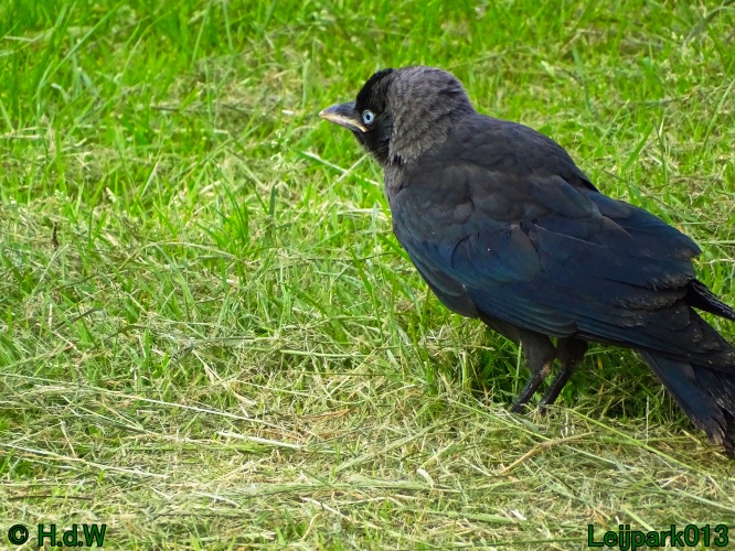 11 &amp; 12 &amp; 13 &amp; 14 juni 2024