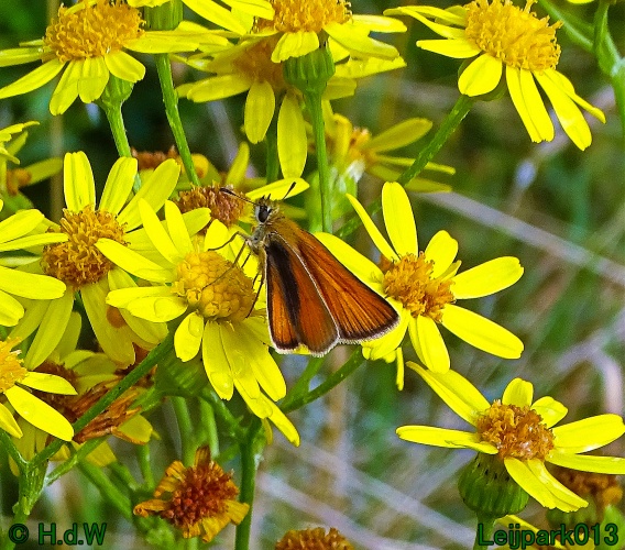 25 &amp; 26 &amp; 27 &amp; 28 juli 2024