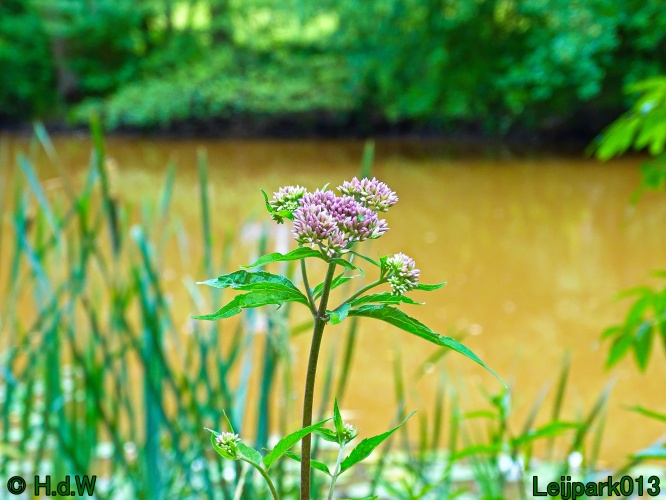 5 &amp; 6 &amp; 7 &amp; 8 juli 2024