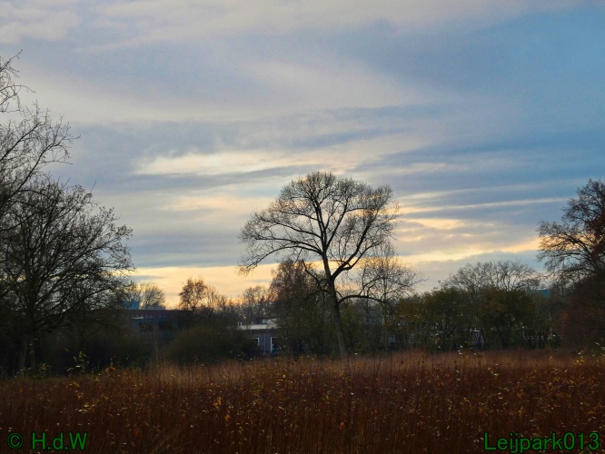 16 &amp; 17 &amp; 18 &amp; 19 december 2024