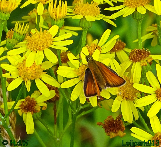 25 &amp; 26 &amp; 27 &amp; 28 juli 2024