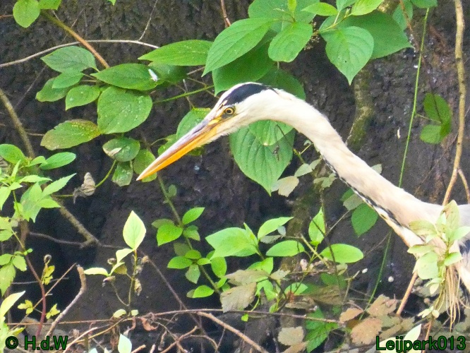 10 &amp; 11 &amp; 12 &amp; 13 augustus 2024