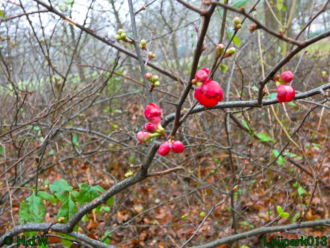 20 &amp; 21 &amp; 22 &amp; 23 december 2024