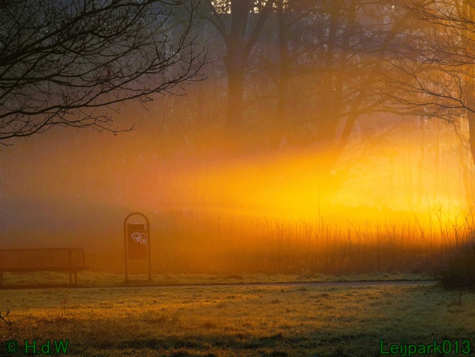 13 januari Mist en zon