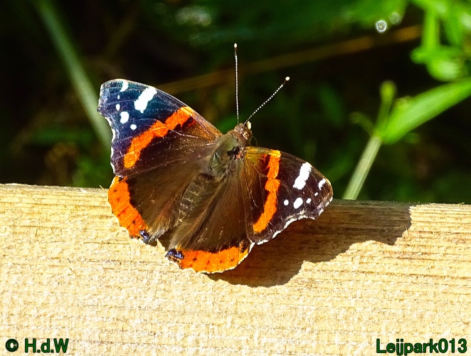 5 &amp; 6 &amp; 7 &amp; 8 juli 2024