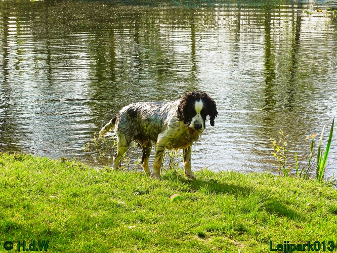 Beestenboel 12 mei 2024