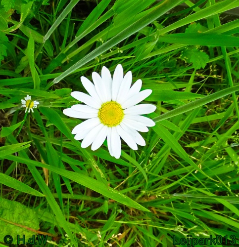 11 &amp; 12 &amp; 13 &amp; 14 juni 2024