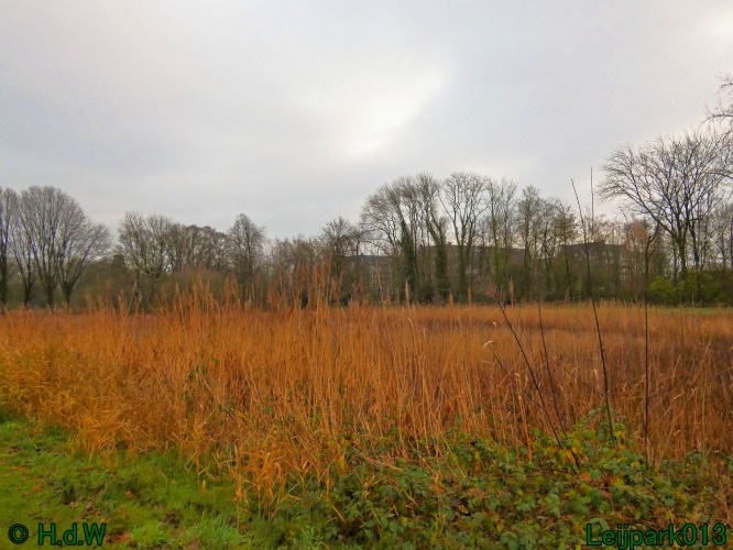 20 &amp; 21 &amp; 22 &amp; 23 december 2024