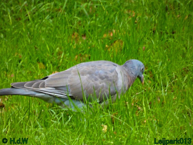 1 &amp; 2 &amp; 3 &amp; 4 oktober 2024