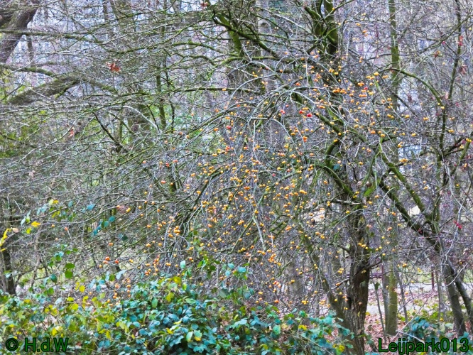 16 &amp; 17 &amp; 18 &amp; 19 december 2024