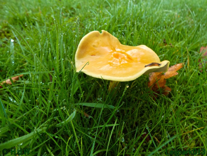 21 &amp; 22 &amp; 23 &amp; 24 oktober 2024