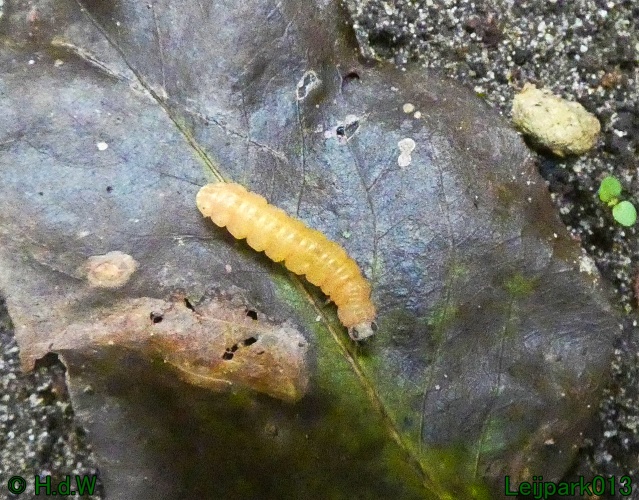 21 &amp; 22 &amp; 23 &amp; 24 oktober 2024