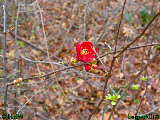 9 &amp; 10 &amp; 11 &amp; 12 januari 2025