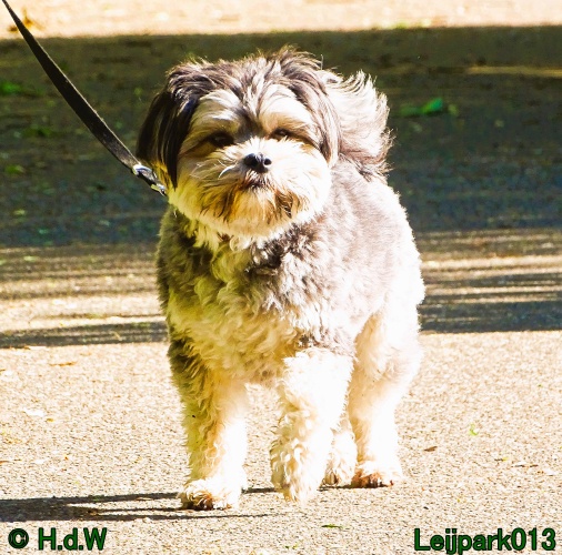 Beestenboel 12 mei 2024