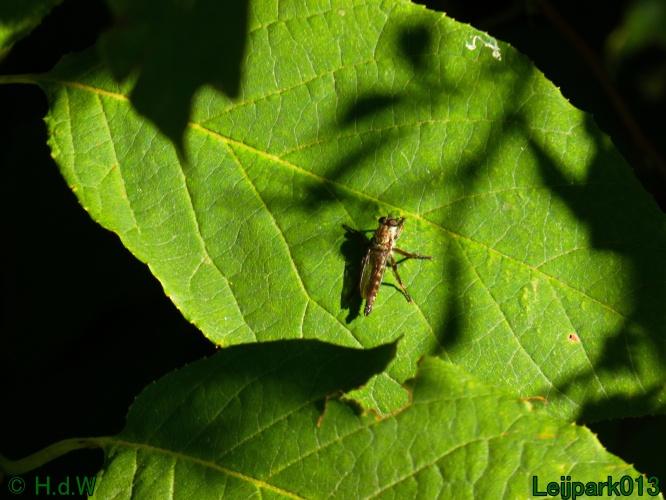 22 &amp; 23 &amp; 24 &amp; 25 augustus 2024