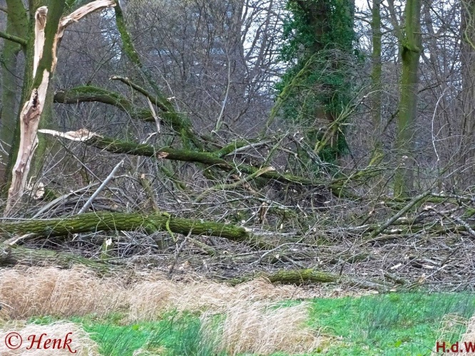 Storm terug in de tijd