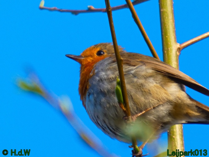 3 &amp; 4 &amp; 5 &amp; 6 april 2025