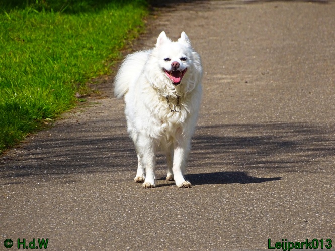 Beestenboel 12 mei 2024