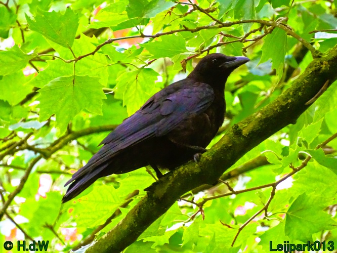 5 &amp; 6 &amp; 7 &amp; 8 juli 2024