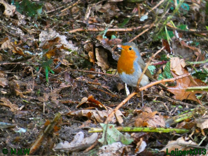 1 &amp; 2 &amp; 3 &amp; 4 oktober 2025