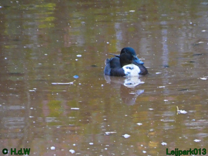 2 &amp; 3 &amp; 4 &amp; 5 November 2024