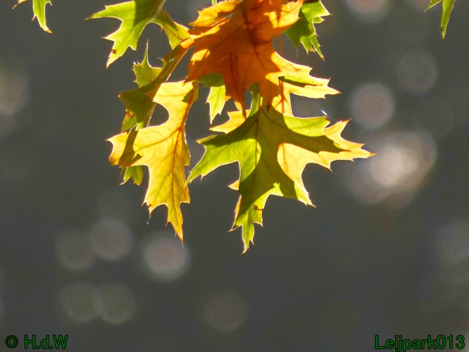 1 &amp; 2 &amp; 3 &amp; 4 oktober 2025