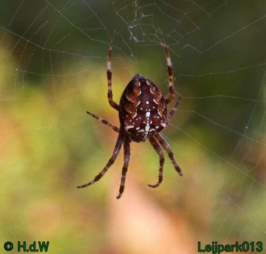 21 &amp; 22 &amp; 23 &amp; 24 oktober 2024