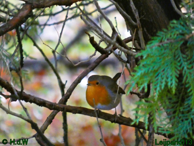 9 &amp; 10 &amp; 11 &amp; 12 januari 2025