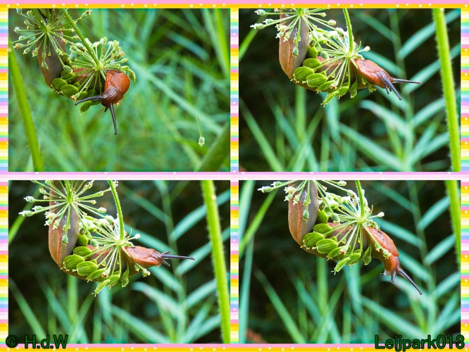 10 &amp; 11 &amp; 12 &amp; 13 augustus 2024