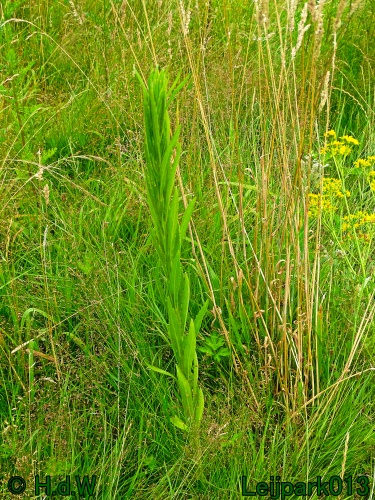 29 &amp; 30 &amp; 31 juli &amp; 1 augustus 2024