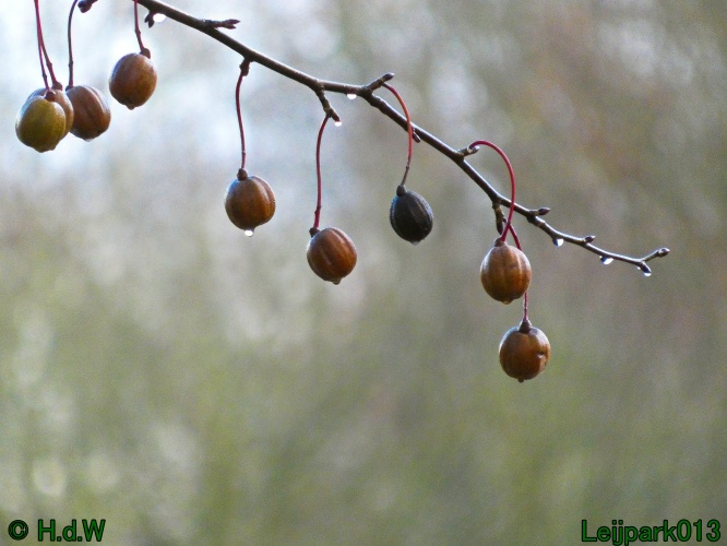 1 &amp; 2 &amp; 3 &amp; 4 januari 2025