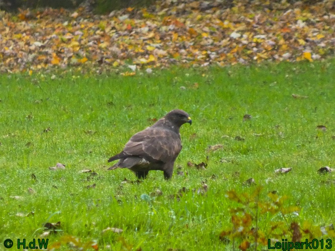 10 &amp; 11 &amp; 12 &amp; 13 november 2024