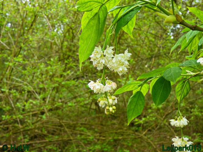 19 &amp; 20 &amp; 21 &amp; 22 maart 2025