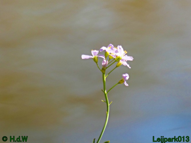 19 &amp; 20 &amp; 21 &amp; 22 maart 2025