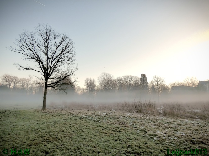 13 januari Mist en zon